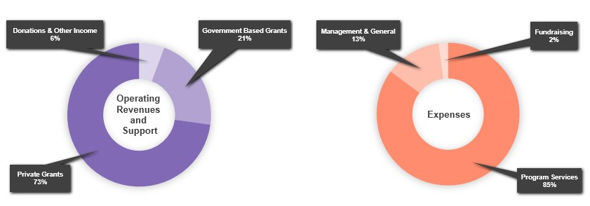 Operating Revenues and Expenses
